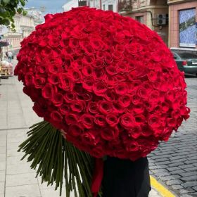 101 гигантская красная роза 170 см